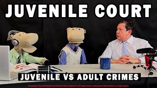 JUVENILE VS ADULT COURT, How Do They DIFFER? | PONIES Talk About CRIMINAL LAW