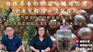 【釀製夫妻】如何釀出好喝的樹葡萄酒上集釀製小技巧超完整的釀製樹葡萄酒實作影片特殊果香的樹葡萄酒釀給你看嘉寶果釀酒酵母果酒酵母釀製進行曲釀製小幫手果酒釀製實作科學釀製釀酒技巧