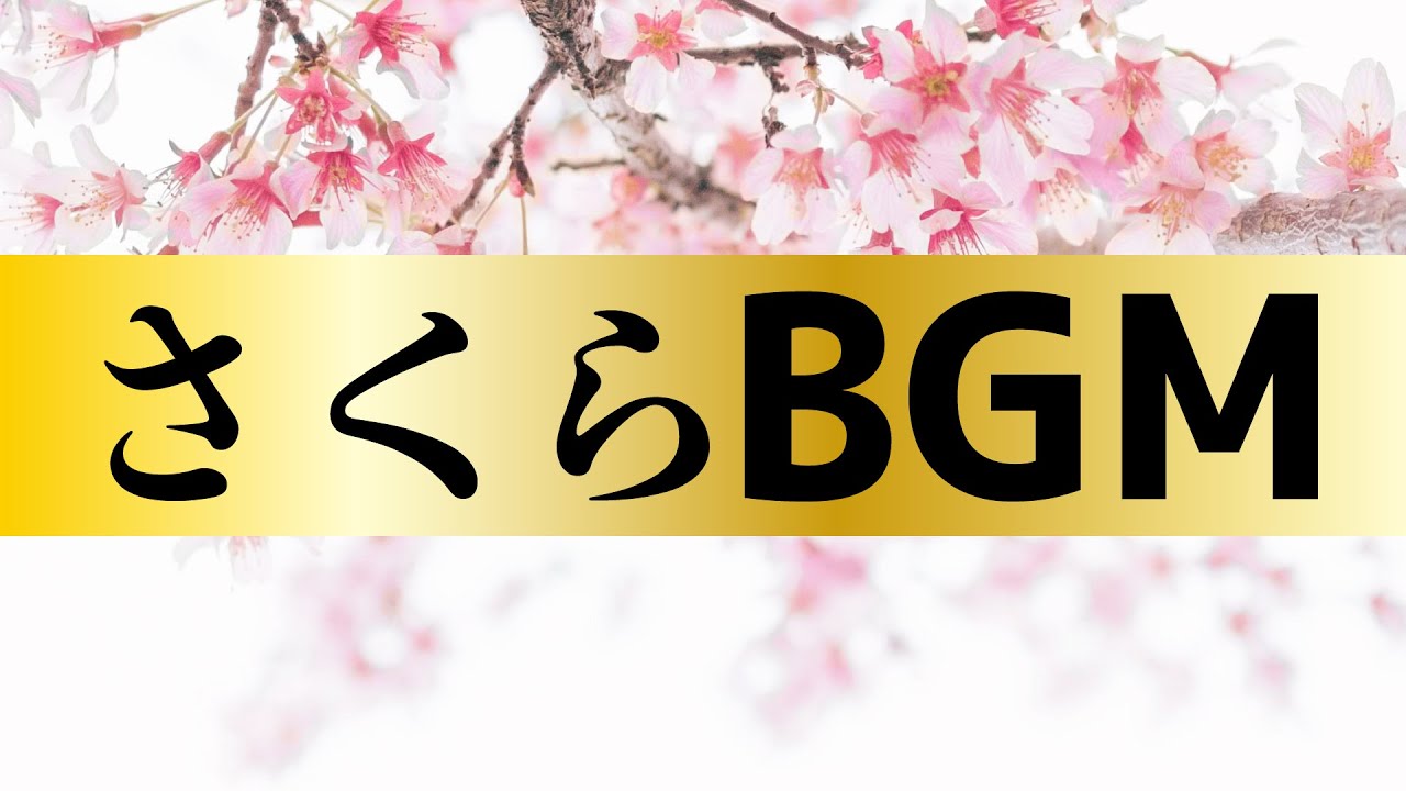 お花見 さくらbgm リラックスピアノ Youtube