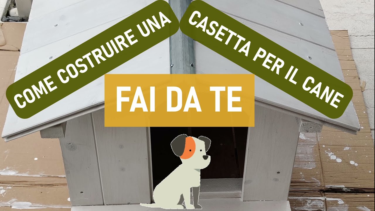 COME COSTRUIRE UNA CUCCIA o CASETTA PER IL CANE IN LEGNO | FAI DA TE