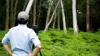 A Scouting Trip and Some Summer Woodland Photography Inspiration