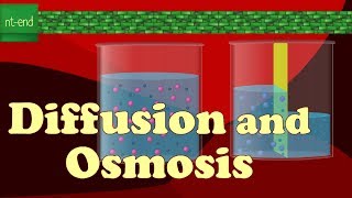 DIFFUSION AND OSMOSIS