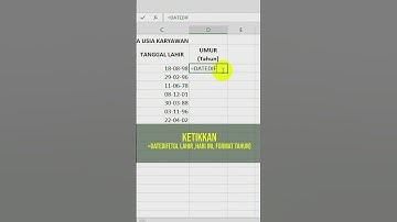 Cara Cepat Hitung Umur Otomatis di Excel (10 detik) #trickexcel #shortsexcel