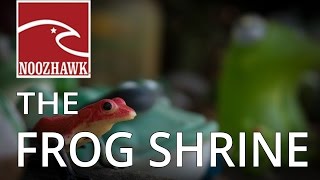 The Frog Shrine | Did You Know?
