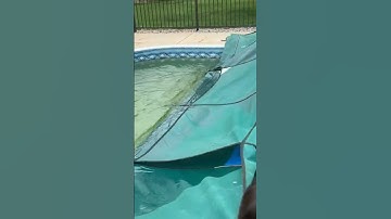 Open Your Own Pool #homemaintenance #pools