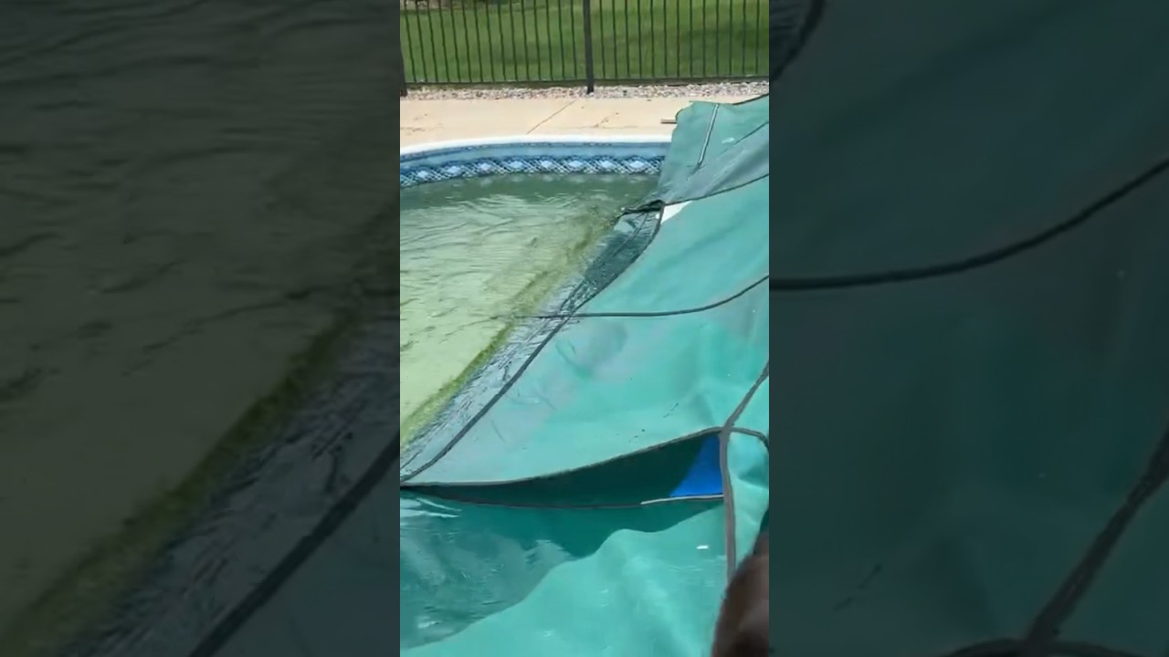 Open Your Own Pool 