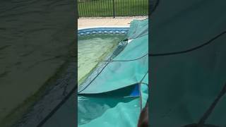 Open Your Own Pool #homemaintenance #pools