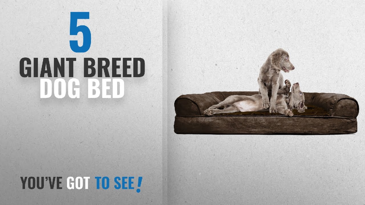Top 5 Giant Breed Dog Bed [2018 Best Sellers] FurHaven Ultra Plush