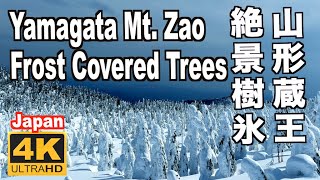 山形蔵王の樹氷 東北の冬 Mt. Zao Yamagata Frost covered trees 山形観光 蔵王ロープウェイ 蔵王温泉 三大樹氷 スノーモンスター snow monster