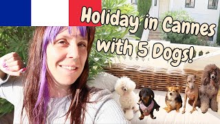 Day in the life of a dog holiday abroad by Cece Canino My Life With Dogs 40 views 6 months ago 5 minutes, 17 seconds