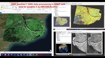 SAR Sentinel 1 GRD data processing in SNAP and how to transfer it in ARCGIS/ArcPro