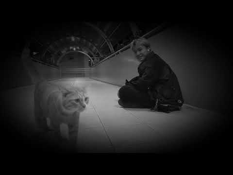 chuotsamset - quá lâu
