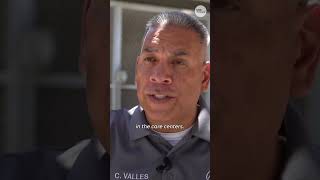 LA County shelters pets after immigration raids #Shorts