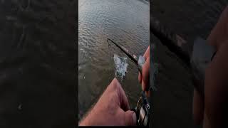 Voor de Voeten! #fishing #snoek #pike