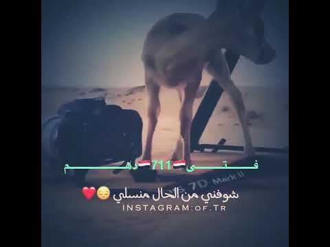 ميحد حمد يا خشيف الريم المفلي