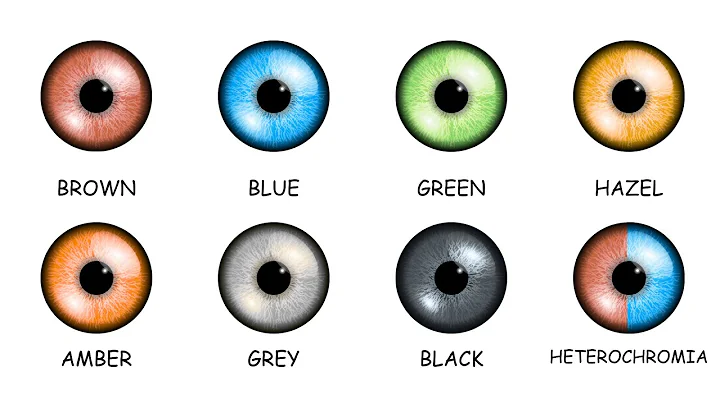 Every Eye Color Explained in 5 Minutes