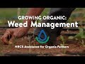 Weed Management