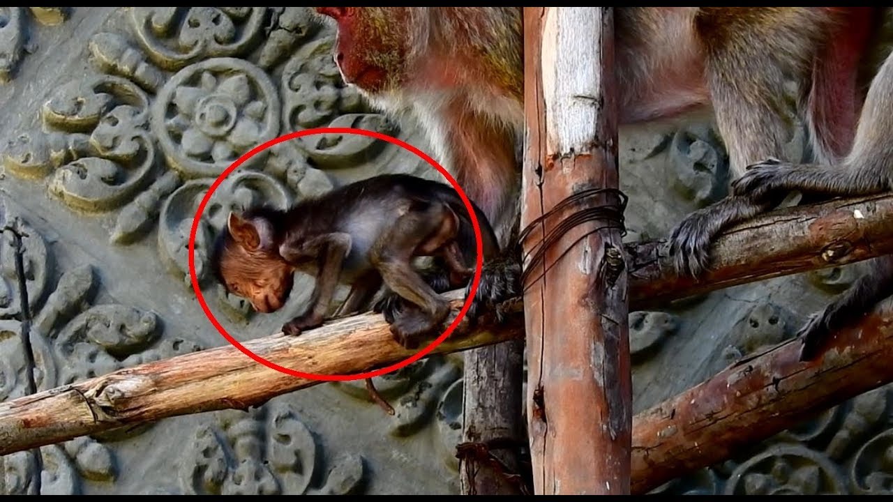 foundry Baby Heidi Mostly Fall down In Construction site Coz She Is Tired When catching Mom