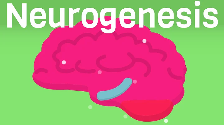 How To Produce More Brain Cells - The Neurogenesis...