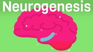 How To Produce More Brain Cells - The Neurogenesis Diet \& Lifestyle by Brant Cortright