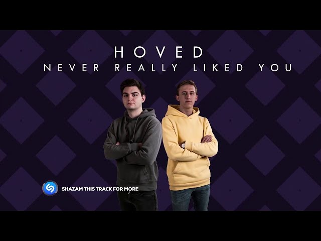 Hoved - Never Really Liked You