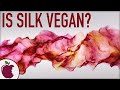 Is Silk Vegan? How Is Silk Made?