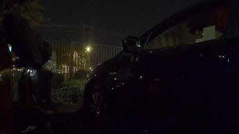 Tesla Sentry mode capturing attempted theft of my car (side camera)