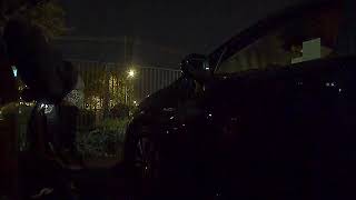 Tesla Sentry mode capturing attempted theft of my car (side camera)