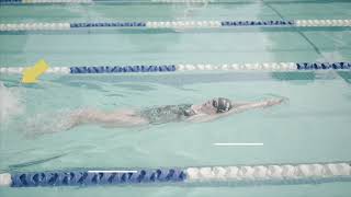 [Stroke Analysis]--Backstroke Kick
