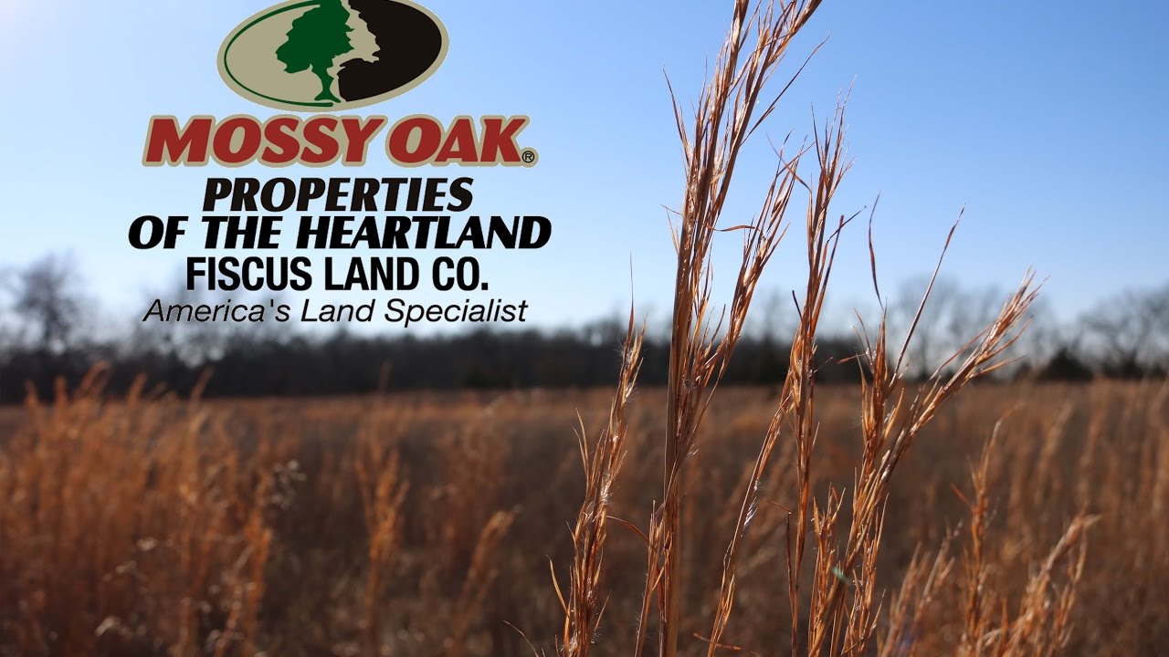 For sale 68 acres near Big Hill Lake YouTube