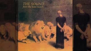 The Sound -Winning HQ