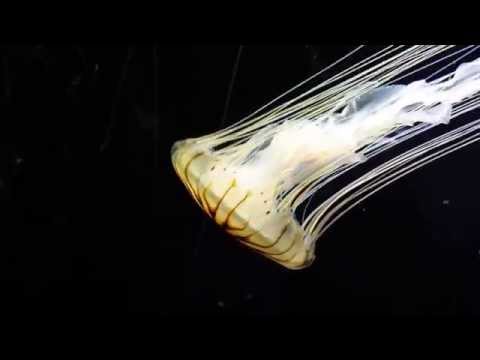 20150411 133133