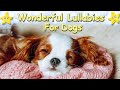 Relaxing sleep music for dogs and puppies  calm your dog effectively in no time