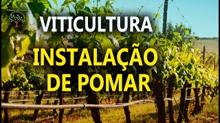 27 Viticultura, Instalação de Pomar Curso do SENAR