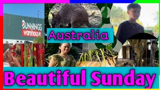 BUSY BEAUTIFUL SUNDAY/COUNTRY LIFE/AUSTRALIA/CARMS VLOG