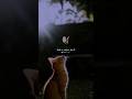Wajah tum ho 🫠🦋 | Slowed reverb | Aesthetic |#lyrics#shorts#trending