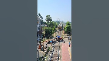 Emu Entering Railgate #shorts