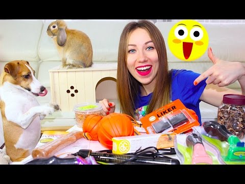 КРУТЫЕ ПОКУПКИ ИЗ ЗООМАГАЗИНА ВСЕМ ПИТОМЦАМ | Elli Di Pets