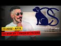 CS DOGE - NFTS - the worlds 1 token of its kind