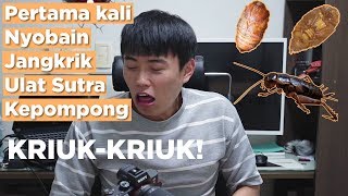 Makanan masa depan! KRIUK KRIUK COY! (feat. Mie Kepompong)