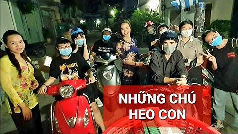 NGÔI NHÀ TÂY THY BẮP NƯỚNG lại RỘN RÃ TIẾNG CƯỜI vì sự xuất hiện của NHỮNG CHÚ HEO CON THIỆN NGUYỆN