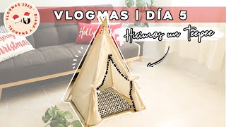 VLOGMAS 5. HICIMOS UN TEEPEE DIY PARA GATO /ROASTING VEGGIES