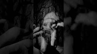 CLAYSHAPER - Pareidolia (Short version)