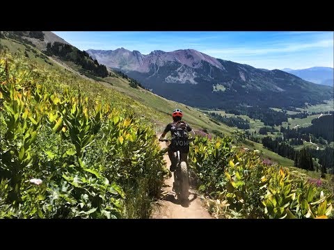 Video: Crested Butte Ist Die Wildblumenhauptstadt Von Colorado: Hier Ist Der Grund