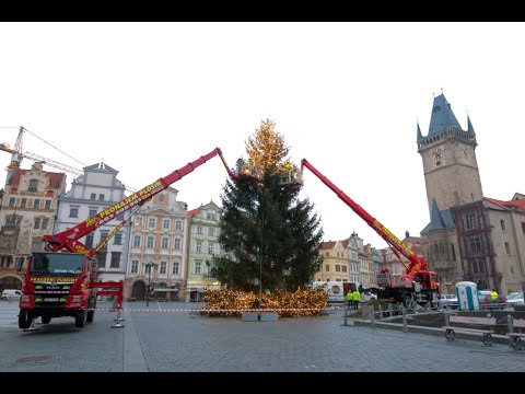 Video: Kvetoucí Vánoční Strom - Pro Novoroční Svátky