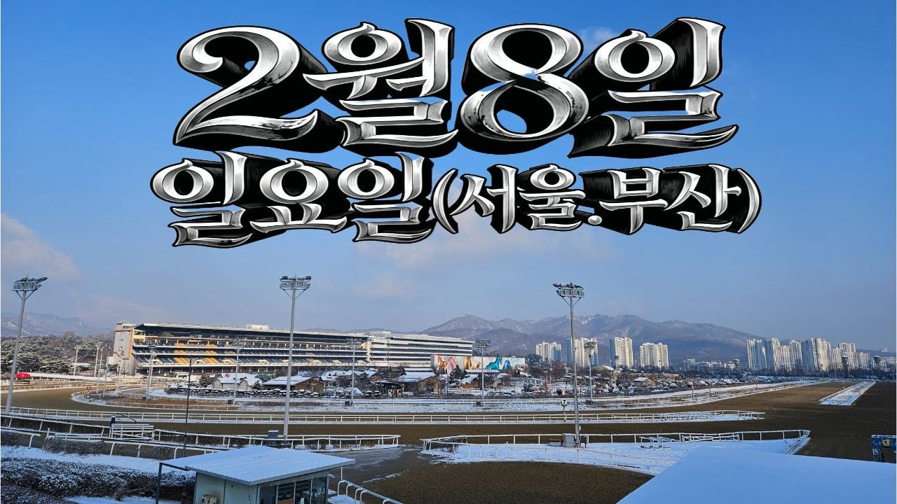 [ 2026년 2월 8일 일요(서울.부산)경마~!]