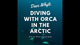 This is what its like to DIVE with Orca (Killer Whales) in the wild.