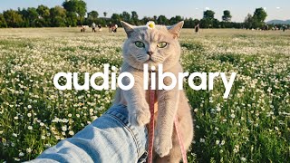 Electronic, Pop, Dance No Copyright Music | Sunday by Roa