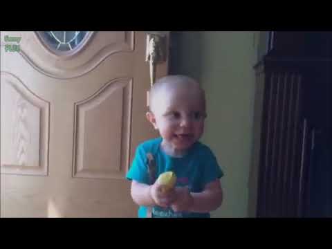 top-10-funny-baby-videos-download-for-free