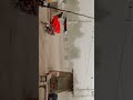 today lahore weather ☁️ | Umair technologist | #10million #1000subscriber